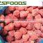 2015 crop frozen strawberry