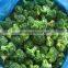 bulk pack Frozen Vegetables broccoli