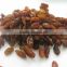 top quality raisin(sun dried) from xinjiang