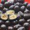 Unique and delicious grape chocolate snack food