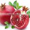 GMP Certified Manufacturer Supply Pomegranate Extract