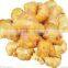 Chinese Fresh Ginger in Hot Sale