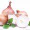 FX-128-3A High Efficiency Hot sale Onion Peeling Peeler Machine