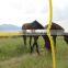 Horses Containment Equipment Solar Electric Fencing Energisers LX-6T03 up to 4KM