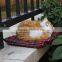 stuffed animal lovely plush cute toy cat dog breathes