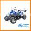 250cc EEC Racing ATV (TKA250E-C)