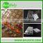 Customized clamshell plastic box for chocolates, cookies