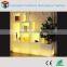 Color Changing Plastic Corner Led Light Cabinet