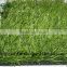Shengjie Best Artificial turf for football field with factory price