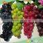 2016 New Songtao Brand Oem Artificial Fruit Fake Grape