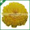 8cm Factory Blue Colorful Chrysanthemum Sola Diffuser Flower