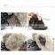 Artificial wool cute women knitted gloves/korean style/Autumn applied