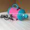 R1919H 2500W Dog Pet Grooming Dryer Hair Dryer Removable Pet Hairdryer 220V fashion New