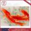 Chinese Hand Silk Embroidery Designs Pictures