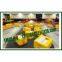 DHL UPS TNT EMS air express courier from shenzhen shanghai guangzhou hongkong China to India--kelly
