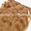 Top grade thickness Remy Double Drawn pu skin weft clip in hair extensions