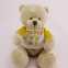 Wholesale Mini Teddy Bear Stuffed Custom Small Clothes Teddy Bear Plush Toy With T Shirts