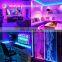 Multicolored Remote Control Stage 5 meter Color Changing RGB SMD Room CCT 5050 LED Strip Light