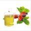 factory produce rosehip hips essential oil