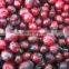 Sinocharm BRC A Approved IQF Cranberry Whole Fruit Frozen Cranberry