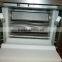 Double Bowl Automatic Pasta Sheet Machine A 250 DV