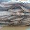 Slender mackerel China Exporter with size 80 pcs / 10 kg ctn