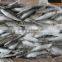 Frozen Sardine From Chinese Manufacture 160 Pcs