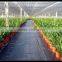 UV Resistance Agricultural PP or PE Fabric Mat Black Plastic Ground Cover