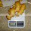 2015 ginger best quality with lowest price