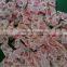 Fully-Automatic dried food weighing and packing machine