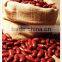 New Crop Red Kidney Beans Heilongjiang Origin