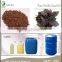 Top Quality 100% Natural Purple Perilla Seed Oil from China