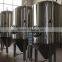 1000L beer brewing equipment Used beer canning equipment Brewery plant for sale