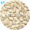 watermelon seeds sale shine skin pumpkin seeds wholesale
