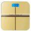 BS-L368 Big LCD screen body weight scale