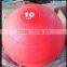 2015 NEW medicine ball wall ball crossfit equipment