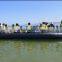 2015 Summer Sales CE Certificated 30 person Rowing passenger boat