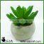 Popular Grey Artificial Concrete Potted Plant Echeveria Office Desk Succulent Plant for Sale
