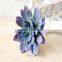 Home decor artificial succulent centerpieces mini succulent plastic succulent