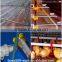 poultry farm automatic drinking system feeding system for 10000 chickens