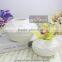 Bowl Shaped Ceramic Flower Vase of Ceramic Vase