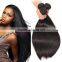  Express Hot New Products for 2016 Malaysian Virgin Hair Straight Raw Unprocessed Virgin Malaysian Hair