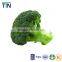 TTN Freeze dried vegetalbe Dried vegetables