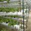 Greenhouse Agriculture Plant Growing High Hydroponic Rock Wool