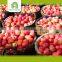 new arrival fresh apple fruit fuji apple with market price