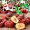 Roasted Dried Chinese Red Dates Snacks---the best Chinese Red Dates in China