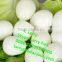 boild egg sheller/egg shell peeling machine/egg peeler