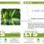 SQ03 Cuili excellent disease resistant f1 hybrid seeds of squash seeds
