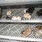 CE approved chicken egg incubator for sale/poultry egg incubator