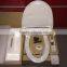 electric toilet seat,automatic self-clean toilet seat